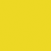 黄色（DIC569相当）