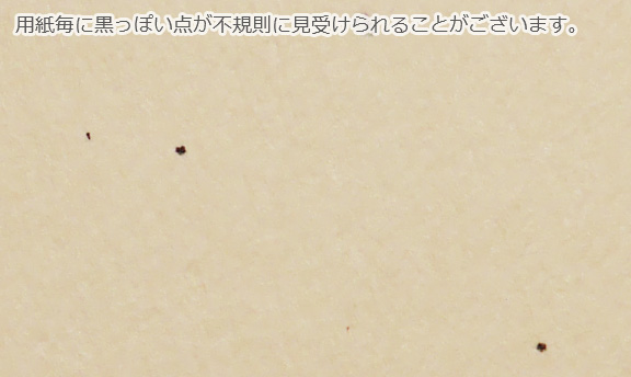 夾雑物サンプル