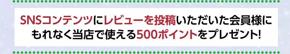 レビューを書いてポイントゲット！