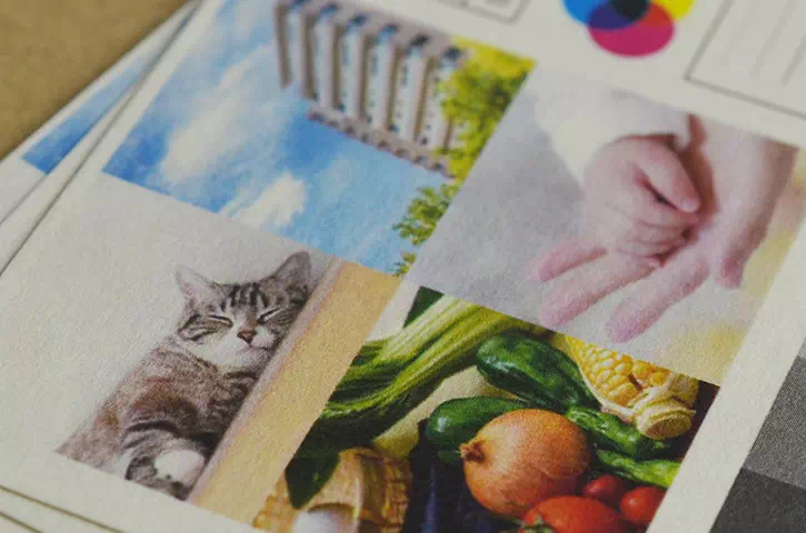 表面：画像印刷サンプル